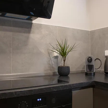 Apartment U Lesa Nove Jirny